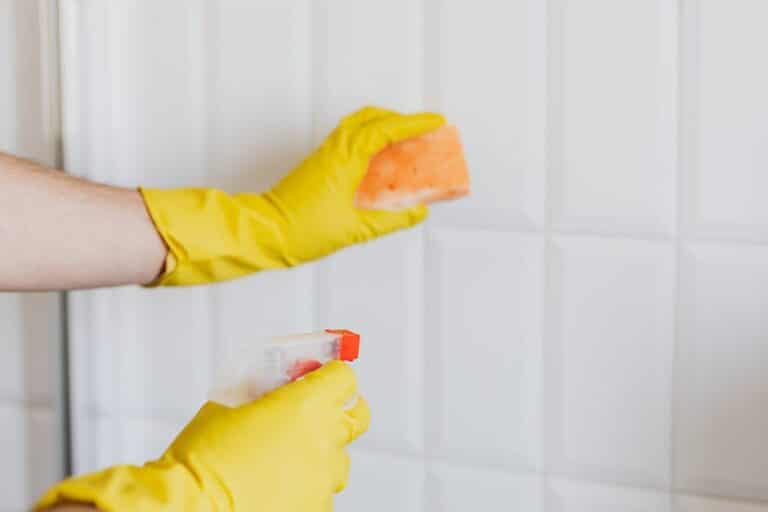 grout cleaning with vinegar
